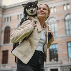 K9 Sport Sack® AIR Hondenrugzak - Lunar Rock