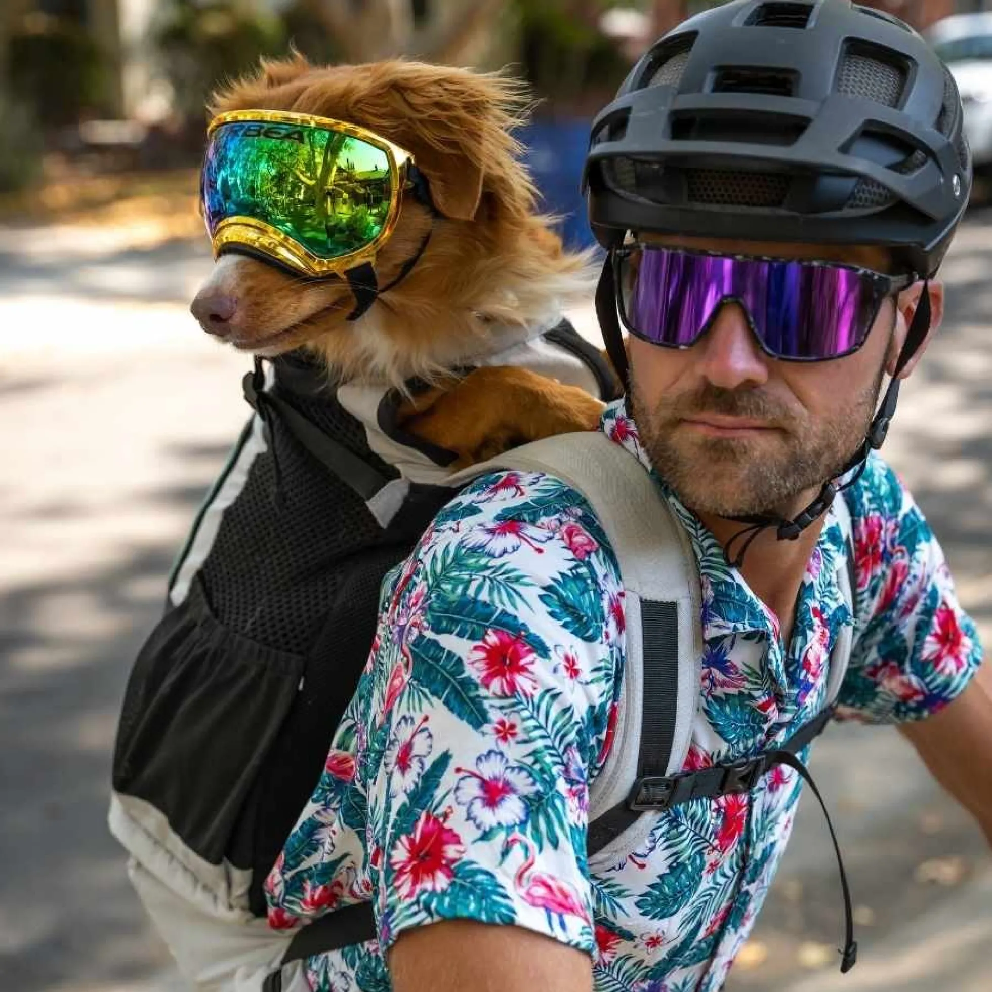 K9 Sport Sack Knavigate Hondenrugzak Lichtgrijs