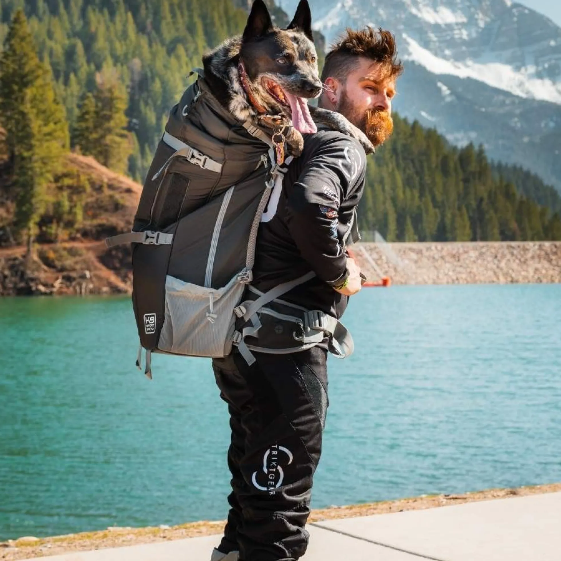 K9 Sport Sack Kolossus Hondenrugzak Zwart