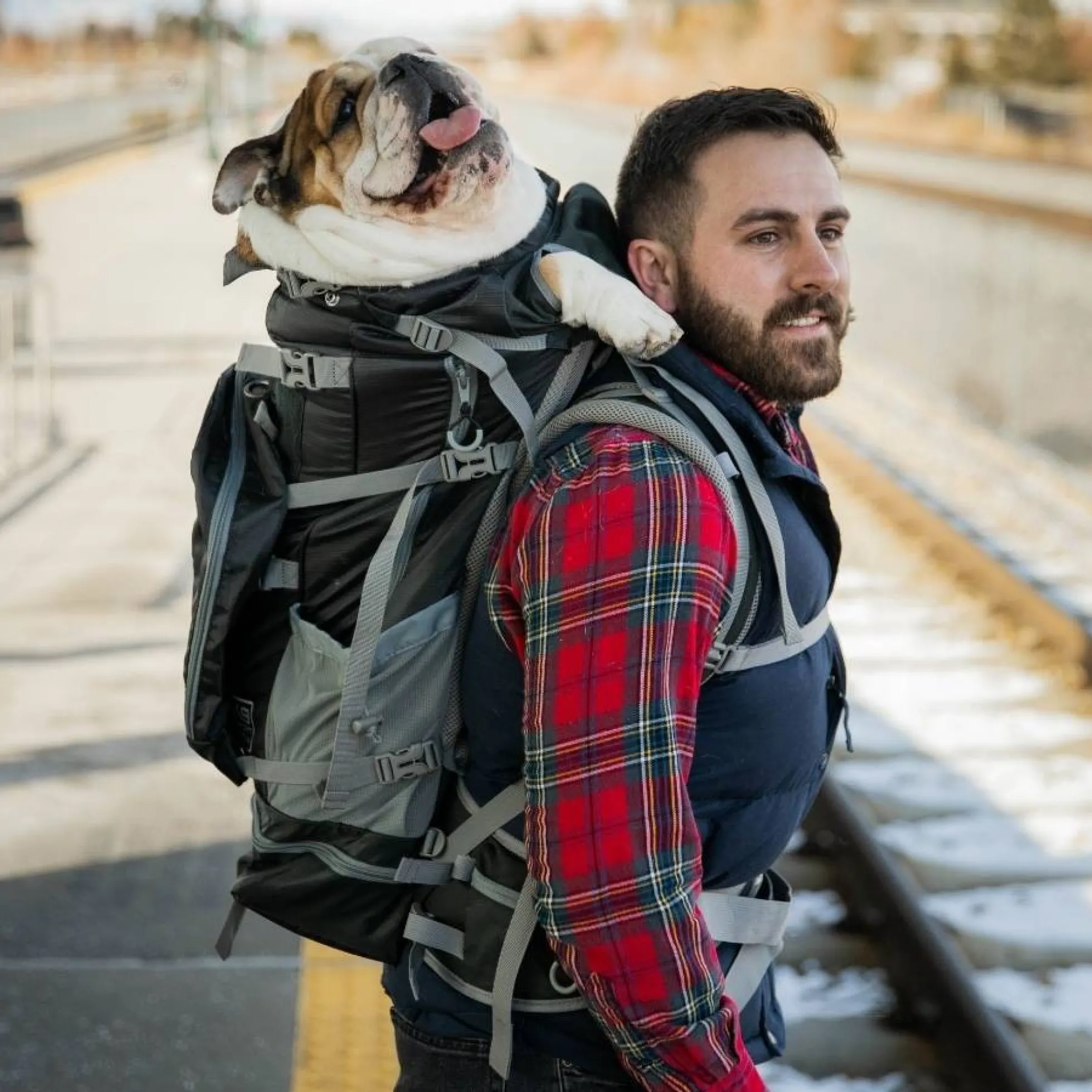 K9 Sport Sack Kolossus Hondenrugzak Zwart