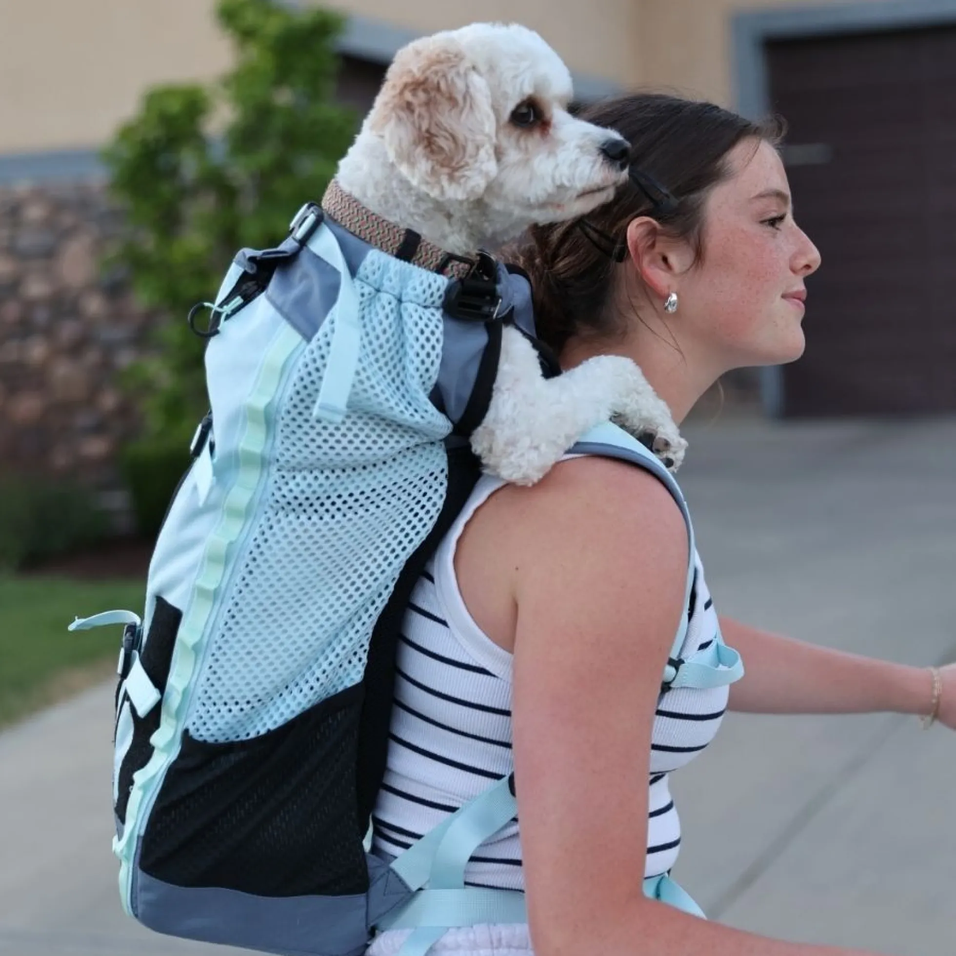 K9 Sport Sack® Kompanion Hondenrugzak - Tropic Blue