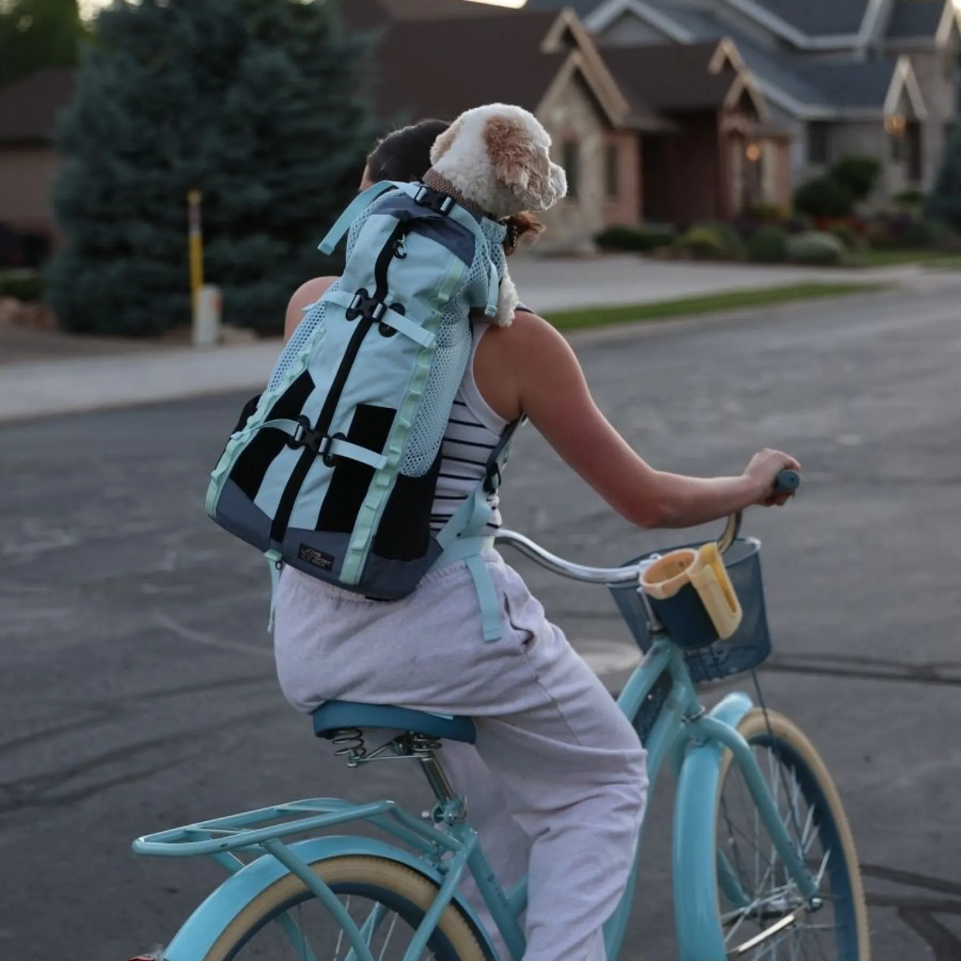 K9 Sport Sack® Kompanion Hondenrugzak - Tropic Blue
