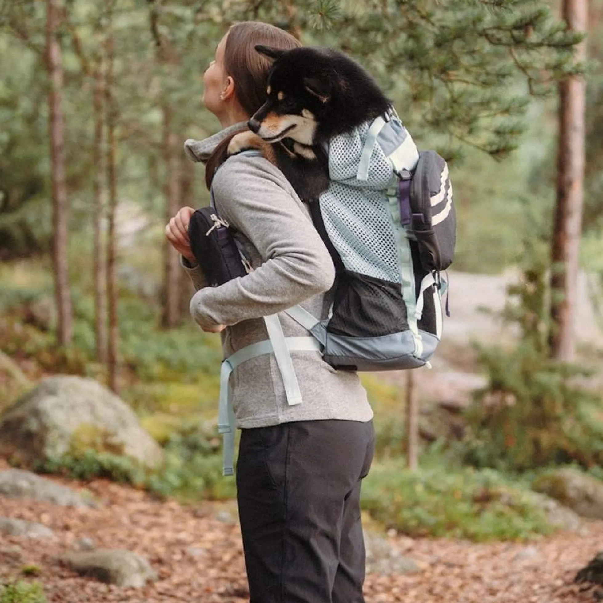 K9 Sport Sack® Opbergtas