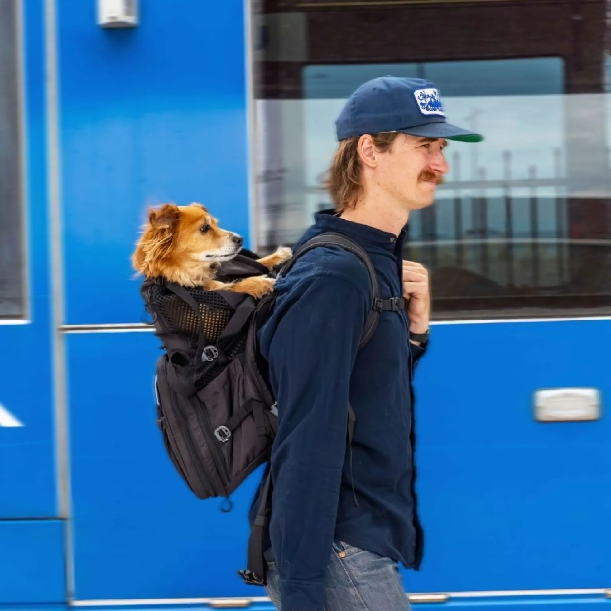 K9 Sport Sack® Skypack