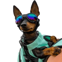 K9 Sport Shades - Hondenbril Blauw