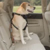 Kurgo Autogordelbevestiging voor Honden Oranje