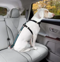 Kurgo Autogordelbevestiging voor Honden Coastal Blue