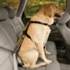 Kurgo Autogordel Tussenstuk voor Honden