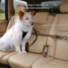 Kurgo Auto Zip Line voor honden