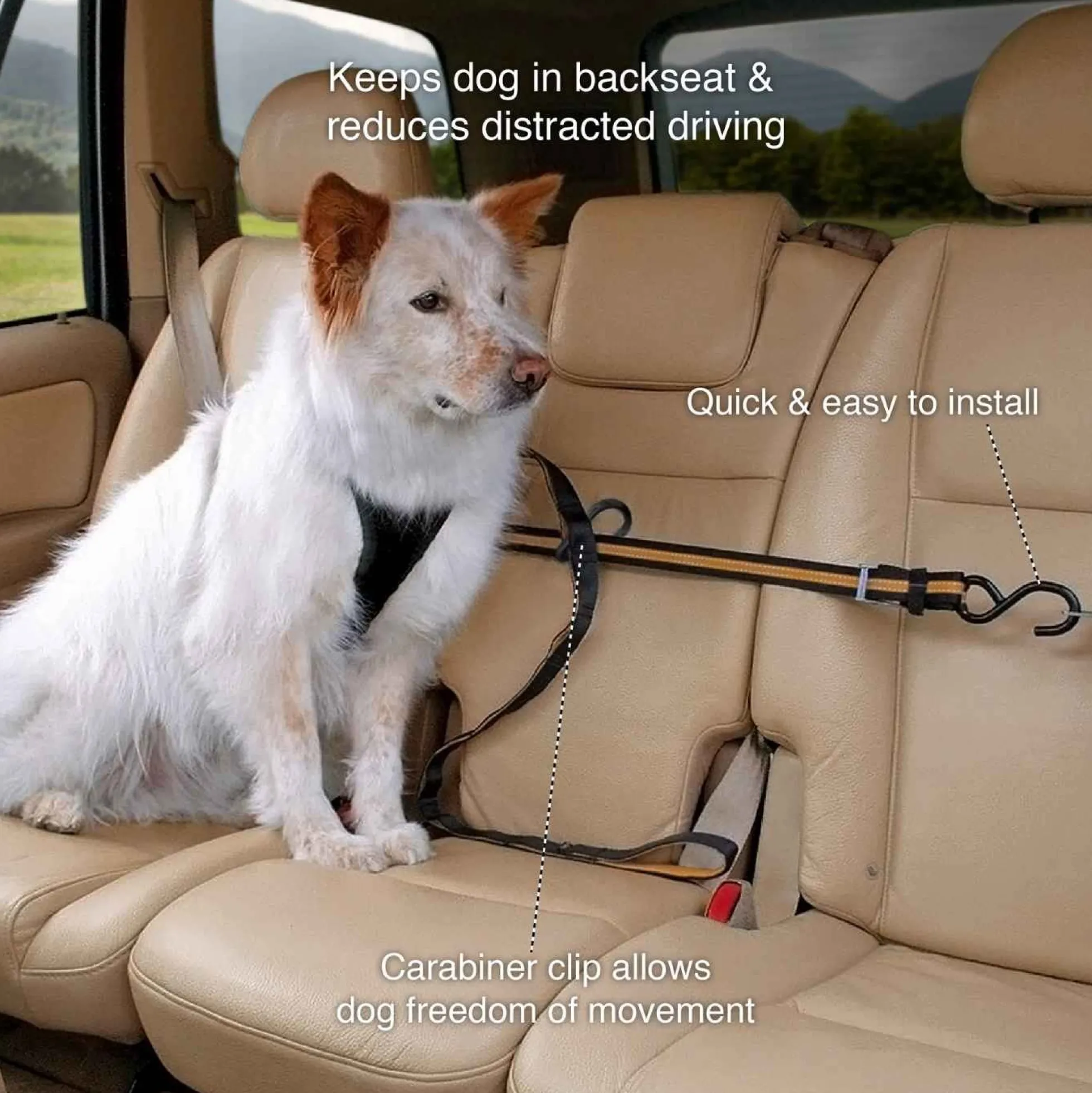 Kurgo Auto Zip Line voor honden
