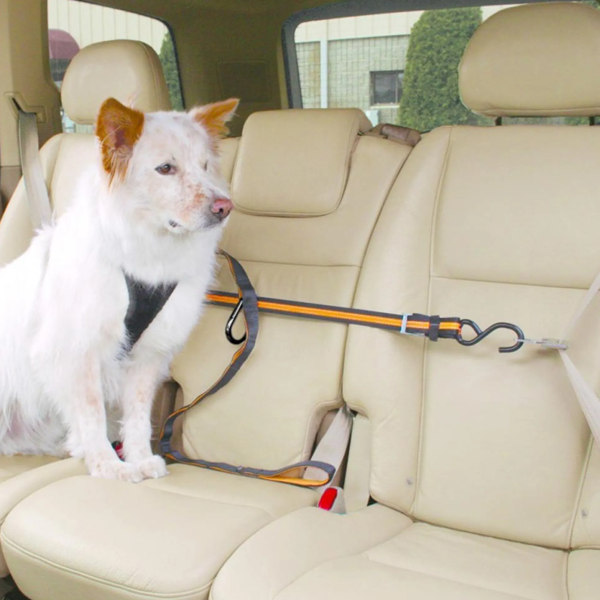 Kurgo Auto Zip Line voor honden