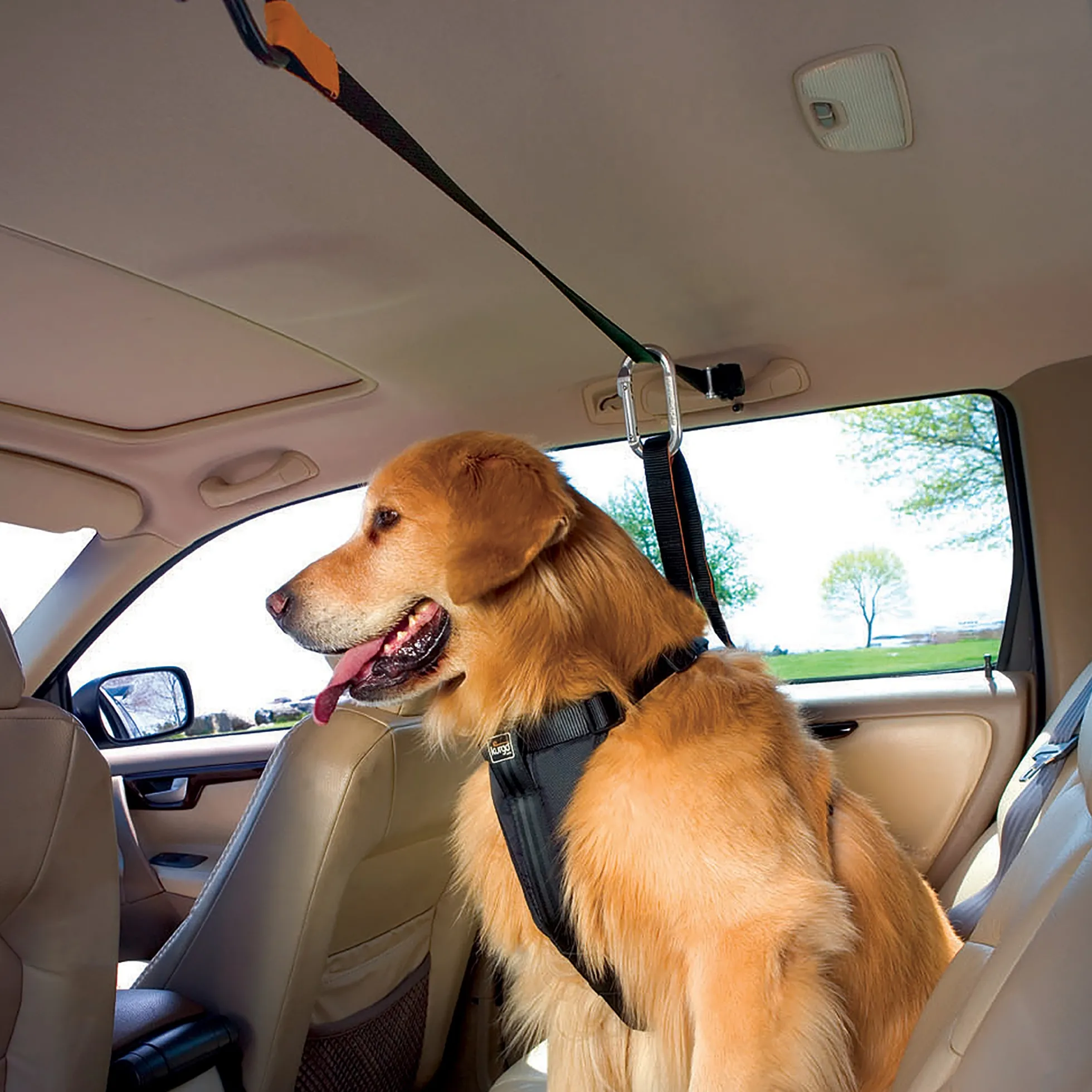 Kurgo Auto Zip Line voor honden
