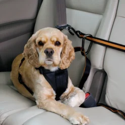 Kurgo Auto Zip Line voor honden