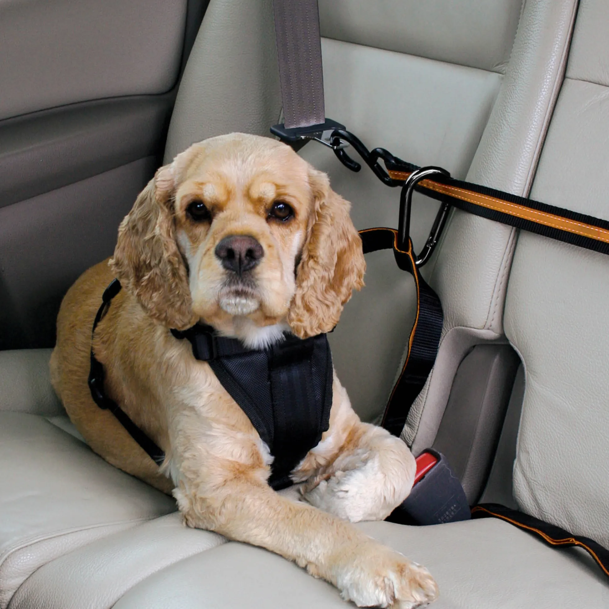 Kurgo Auto Zip Line voor honden