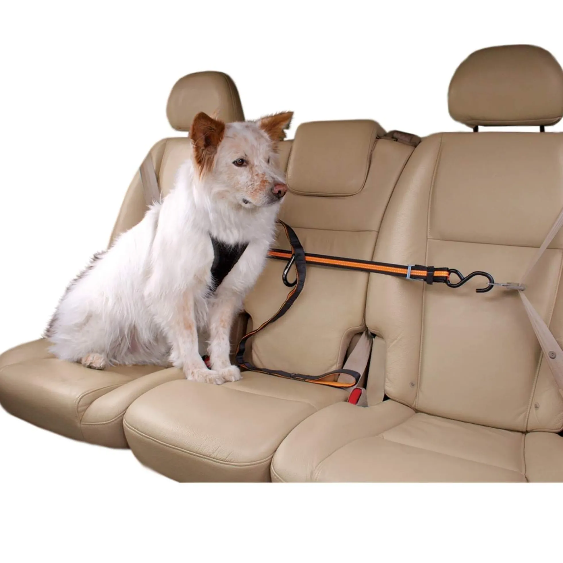 Kurgo Auto Zip Line voor honden