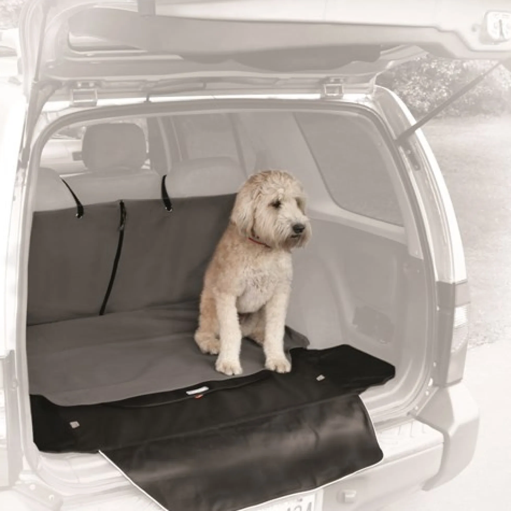 Kurgo cargo Cape autohoes