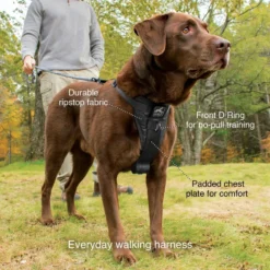 Kurgo Enhanced Strength Tru-Fit Smart Hondentuig