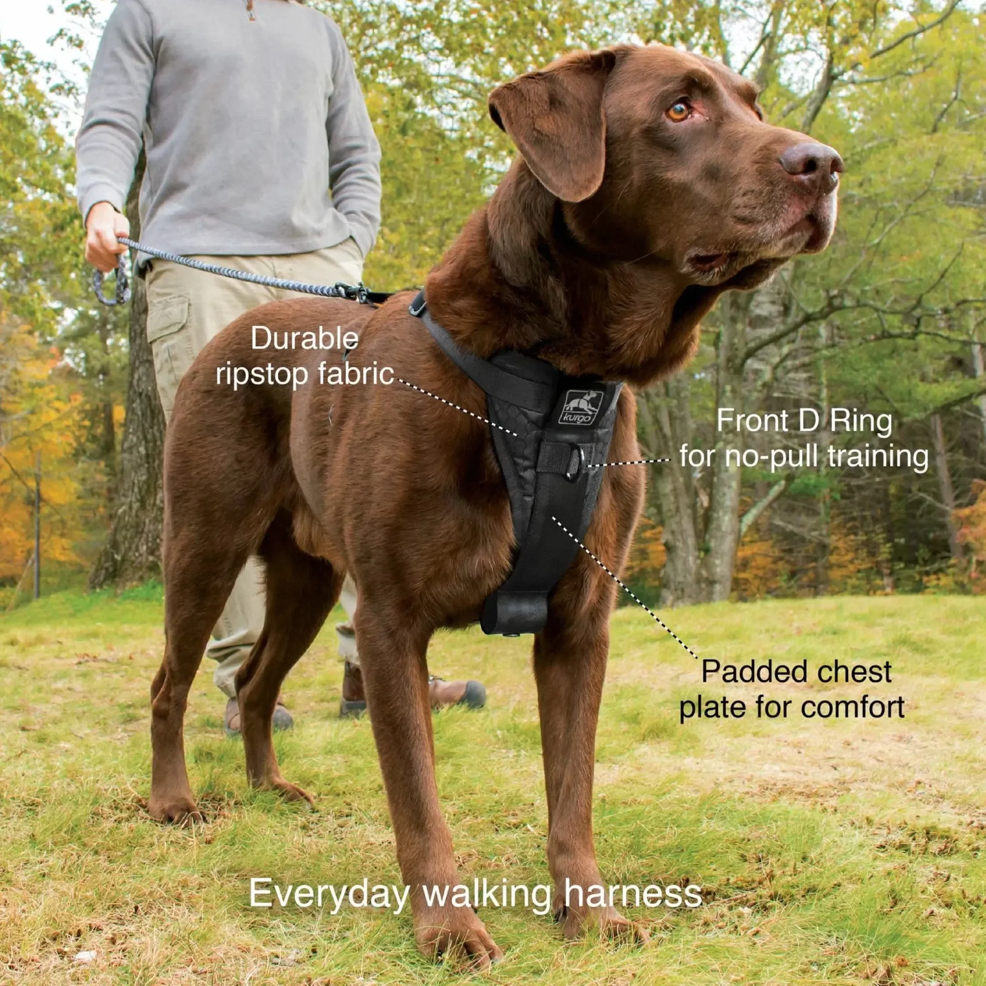Kurgo Enhanced Strength Tru-Fit Smart Hondentuig