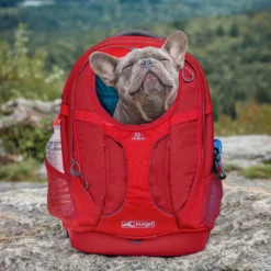 Kurgo G-train Rugzak Rood