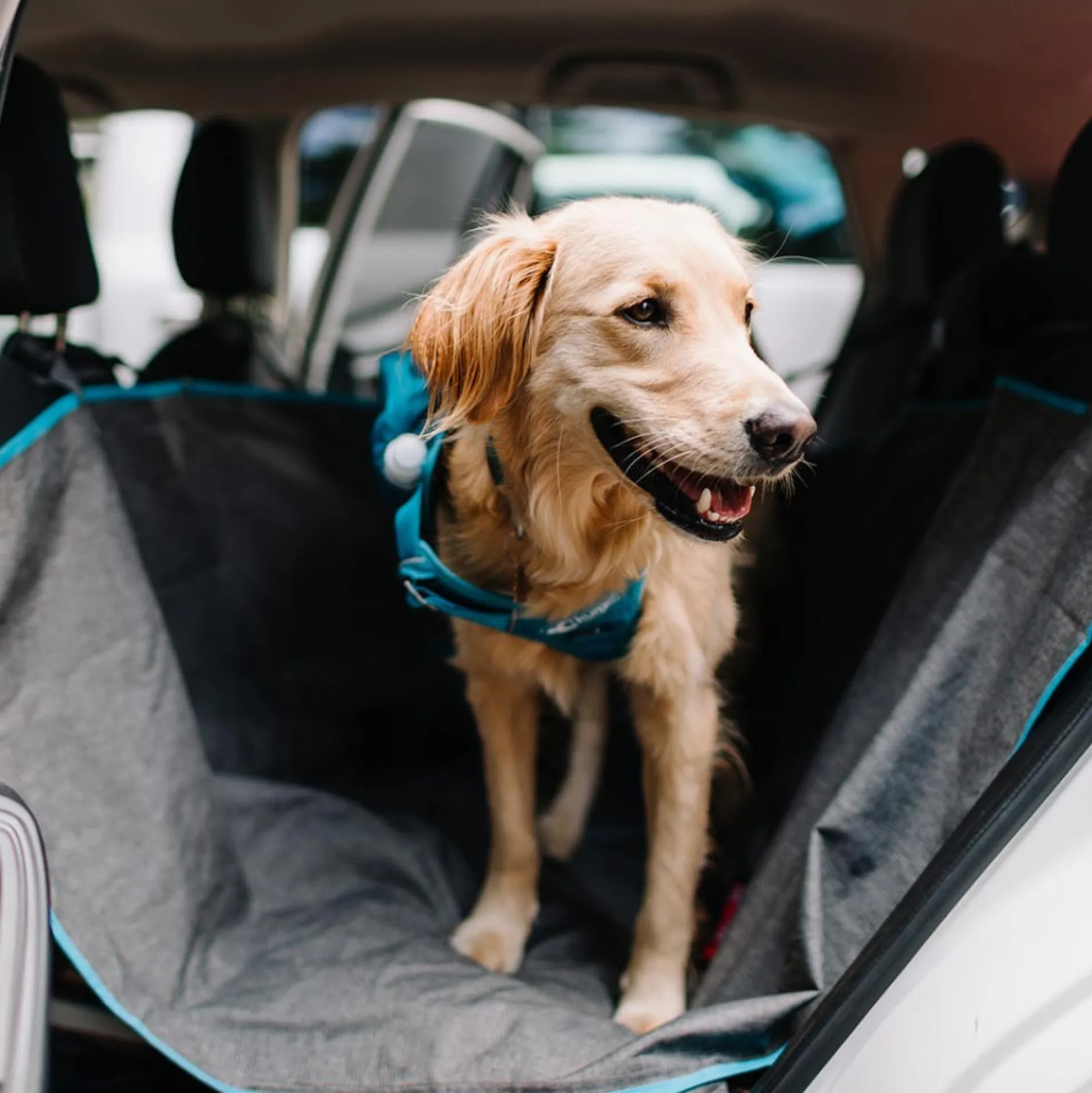 Kurgo Heather Half Dog Hondenhangmat