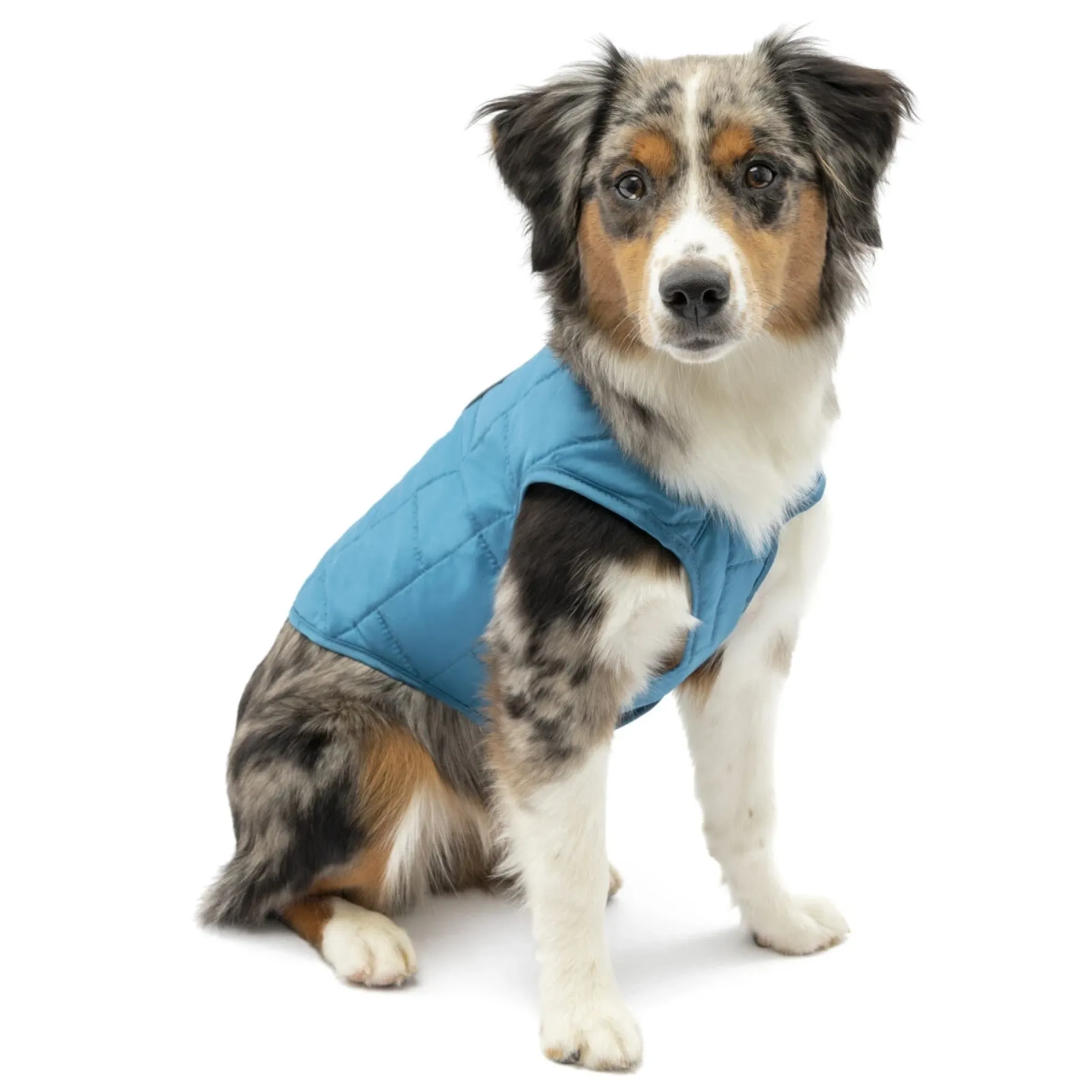Kurgo Hondenjas Loft Jacket Lichtblauw