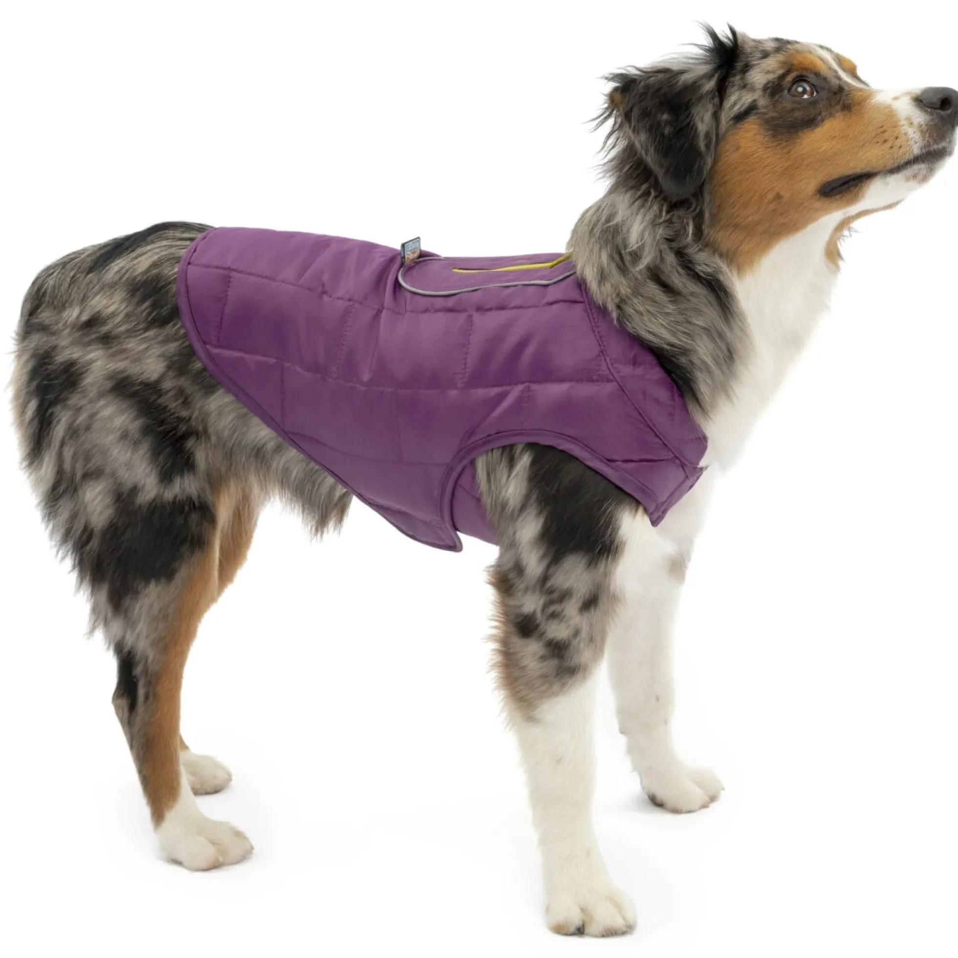 Kurgo Hondenjas Loft Jacket Paars