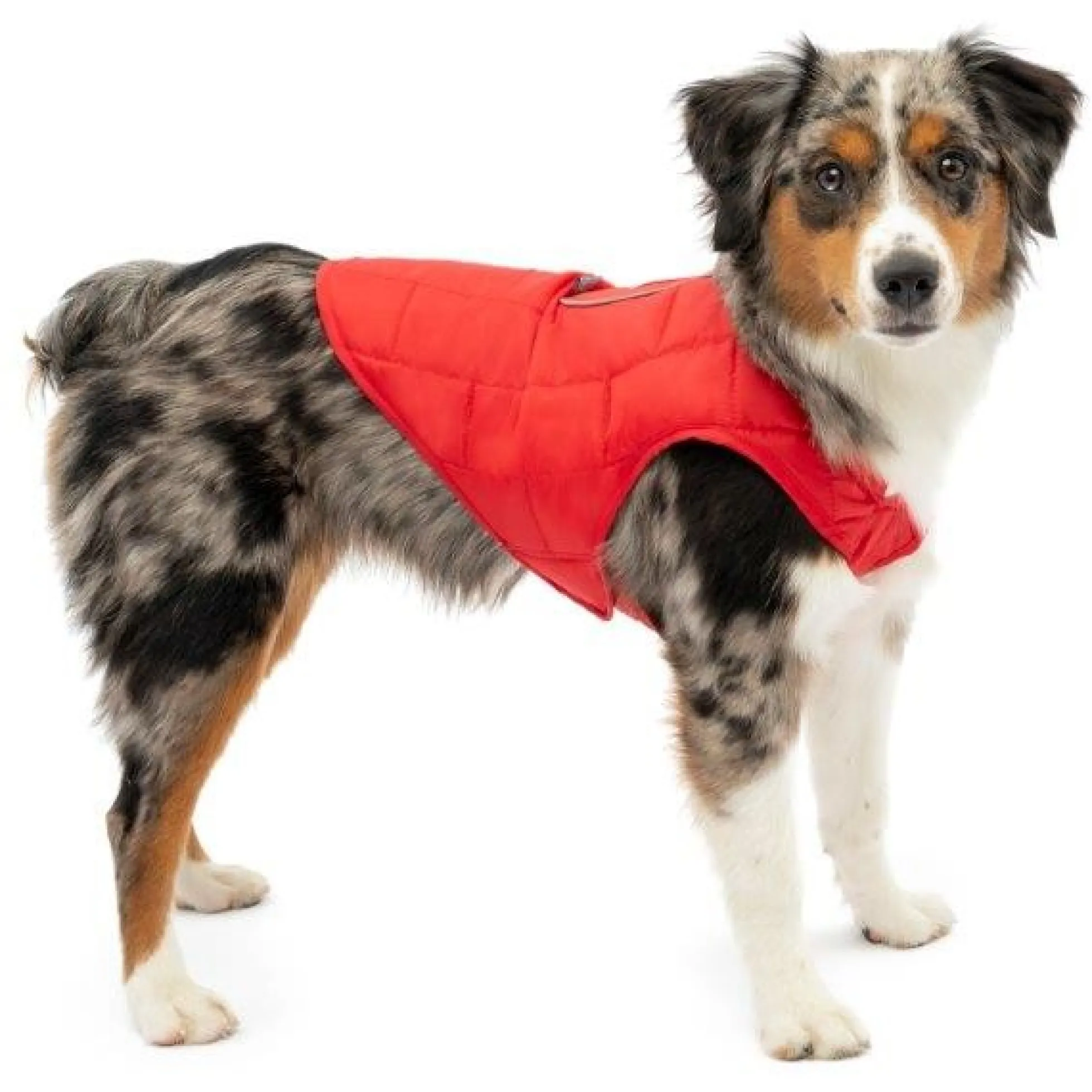 Kurgo Hondenjas Loft Jacket Rood