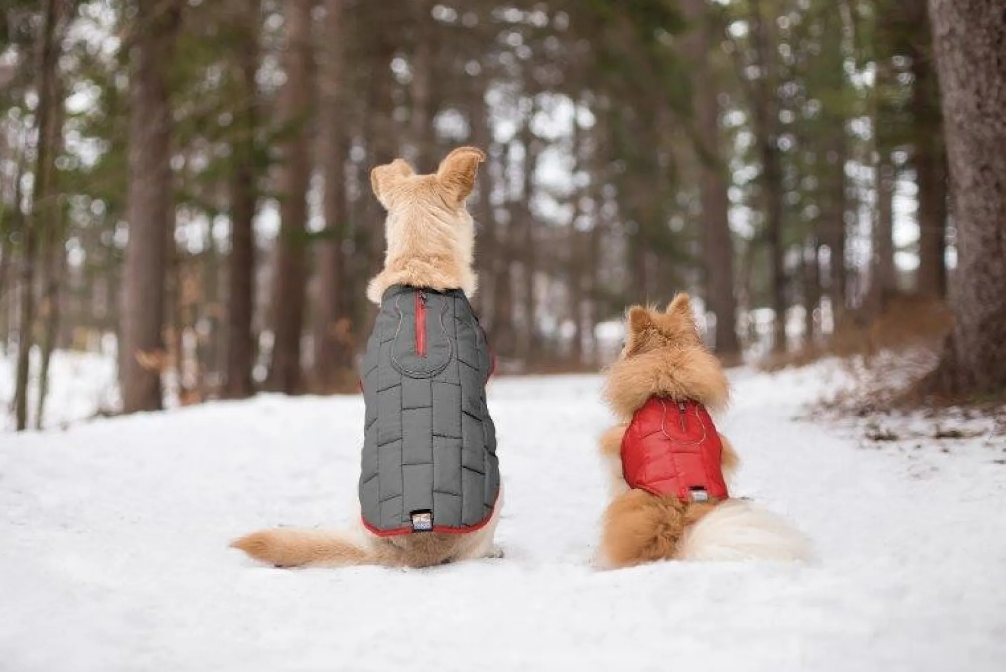 Kurgo Hondenjas Loft Jacket Rood