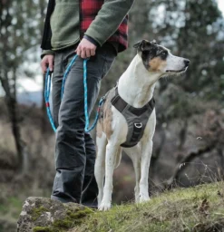 Kurgo Journey Air Harness