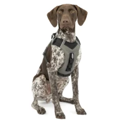 Kurgo Journey Air Harness
