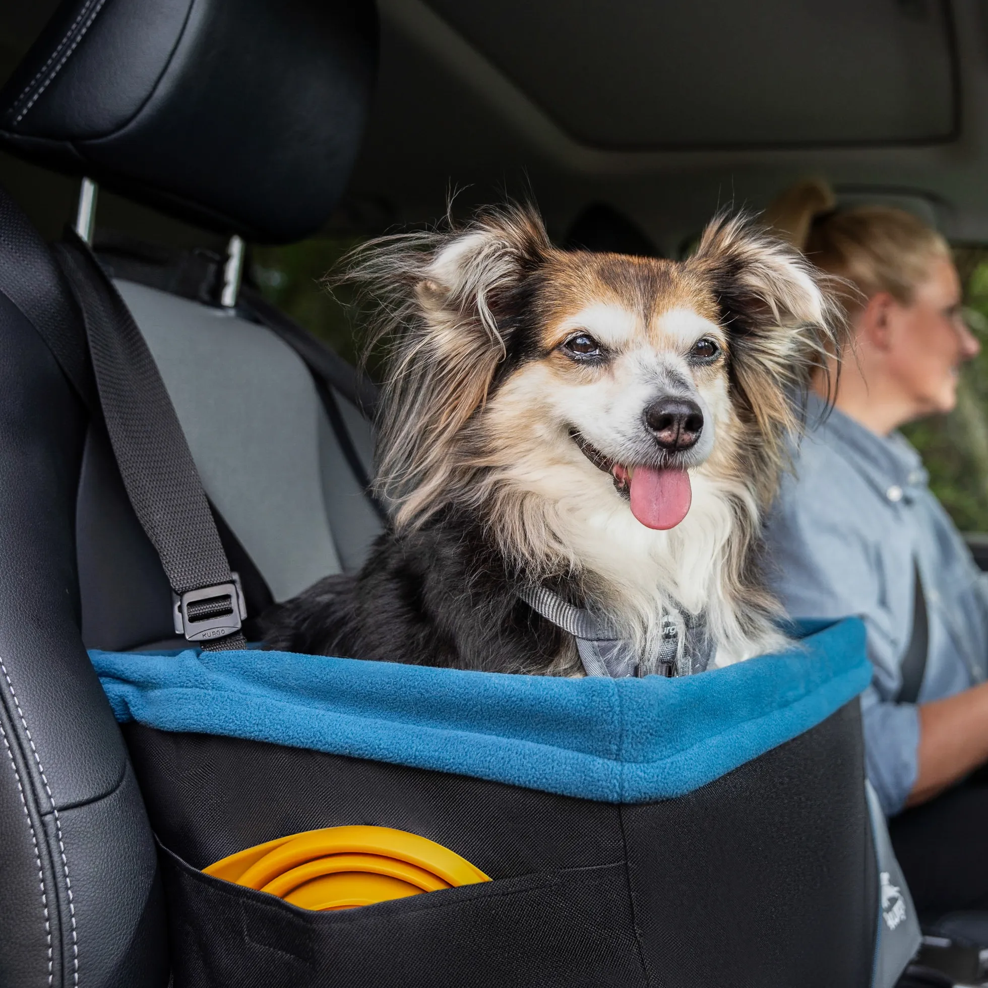 Kurgo Rover Autostoel voor Honden