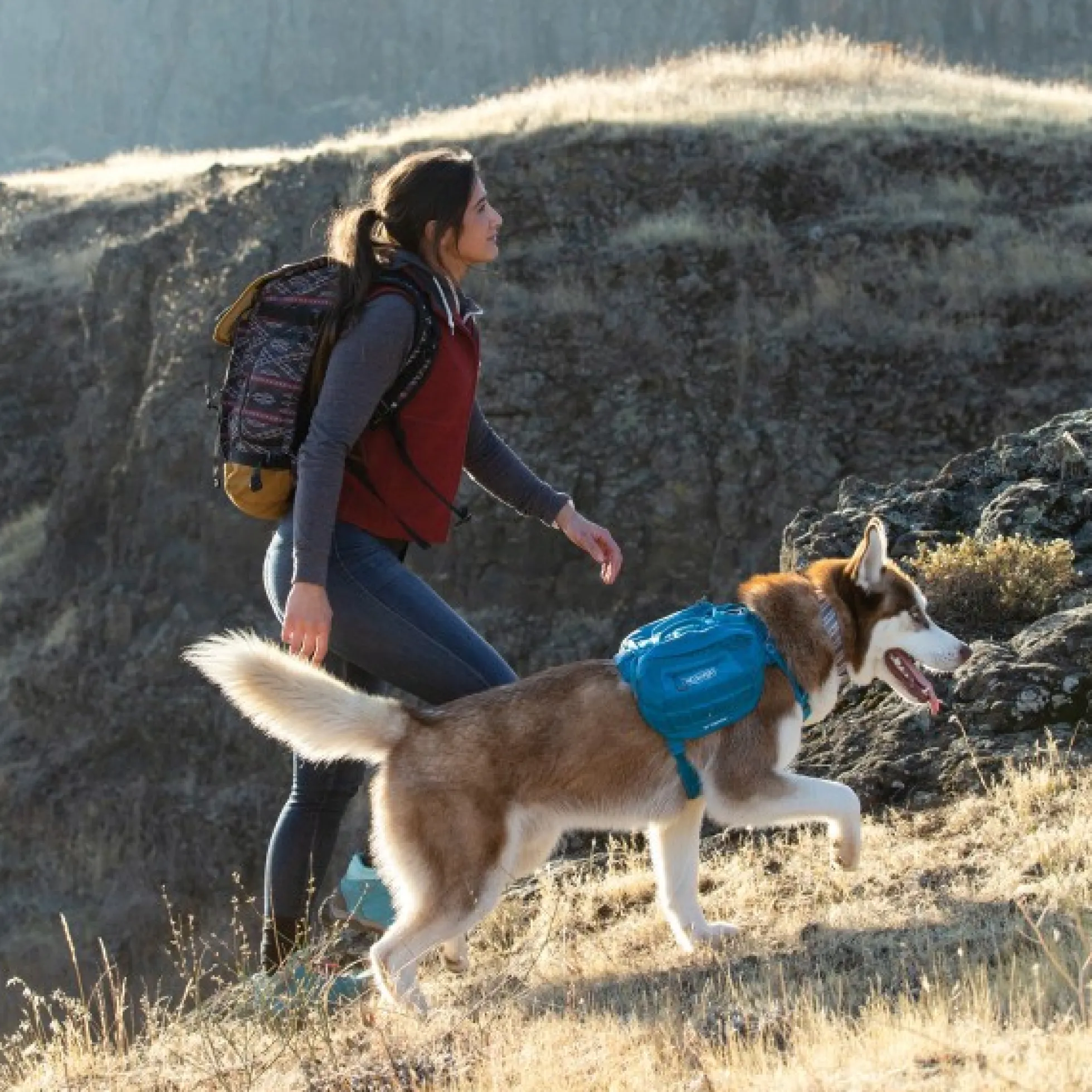 Kurgo RSG Pack Pannier - Tas voor op harnas