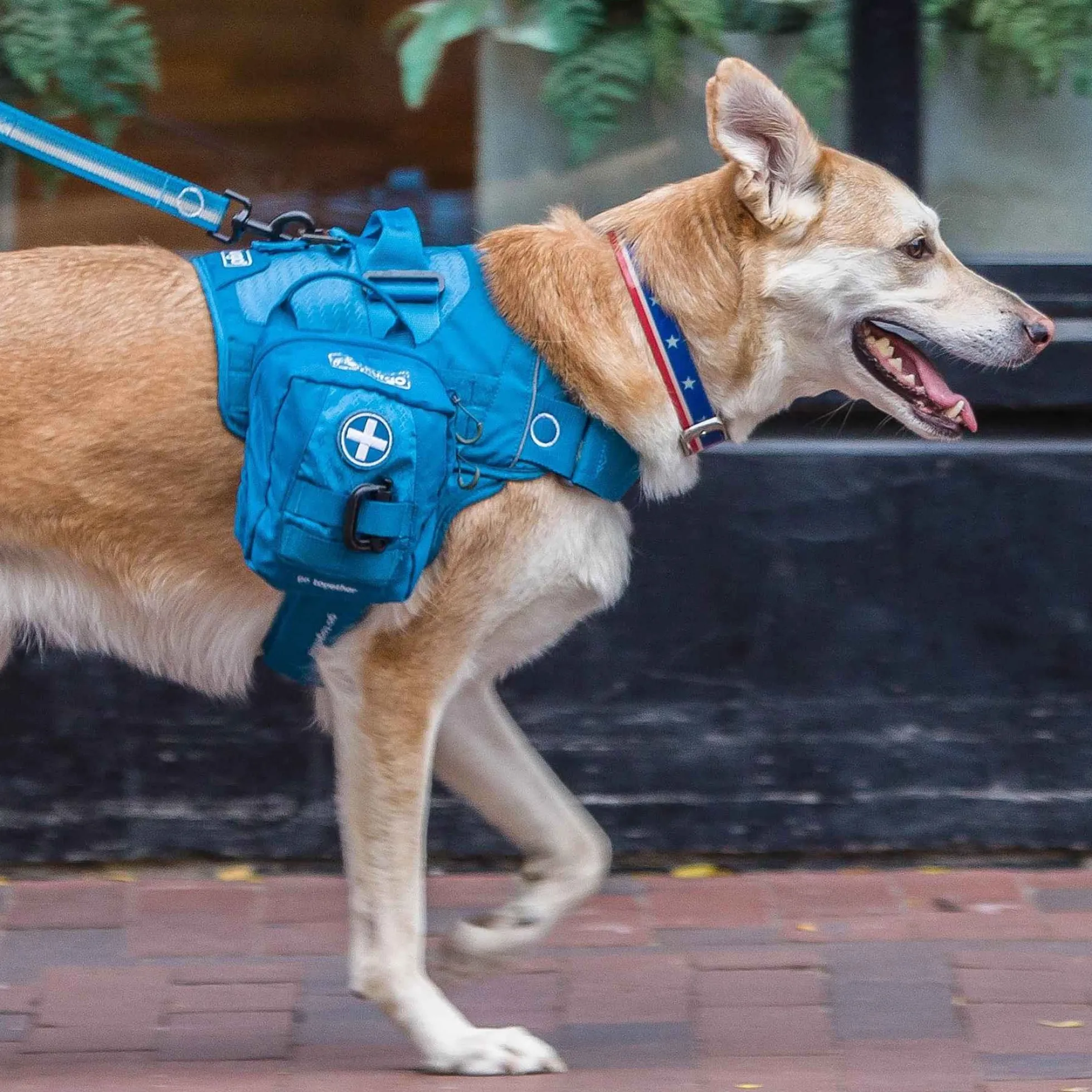 Kurgo RSG 1st Aid Kit - EHBO set voor honden