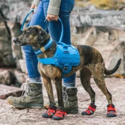 Kurgo RSG Townie Harnas Blauw