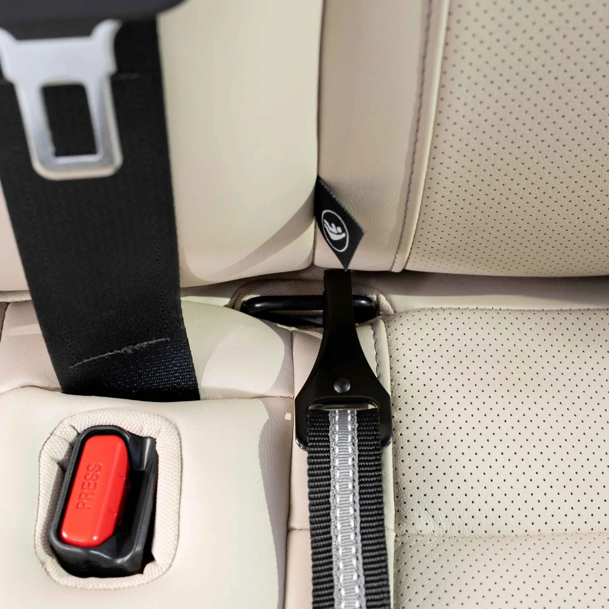 Kurgo Seatbelt Tether with Latch - Autogordel