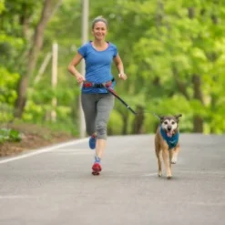 Kurgo Springback leash