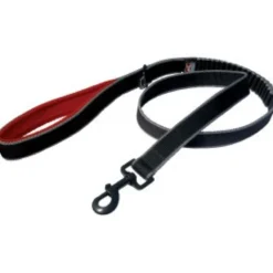 Kurgo Springback leash