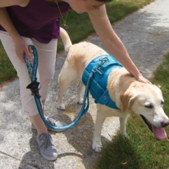 Kurgo Stub Leash - Hondenriem
