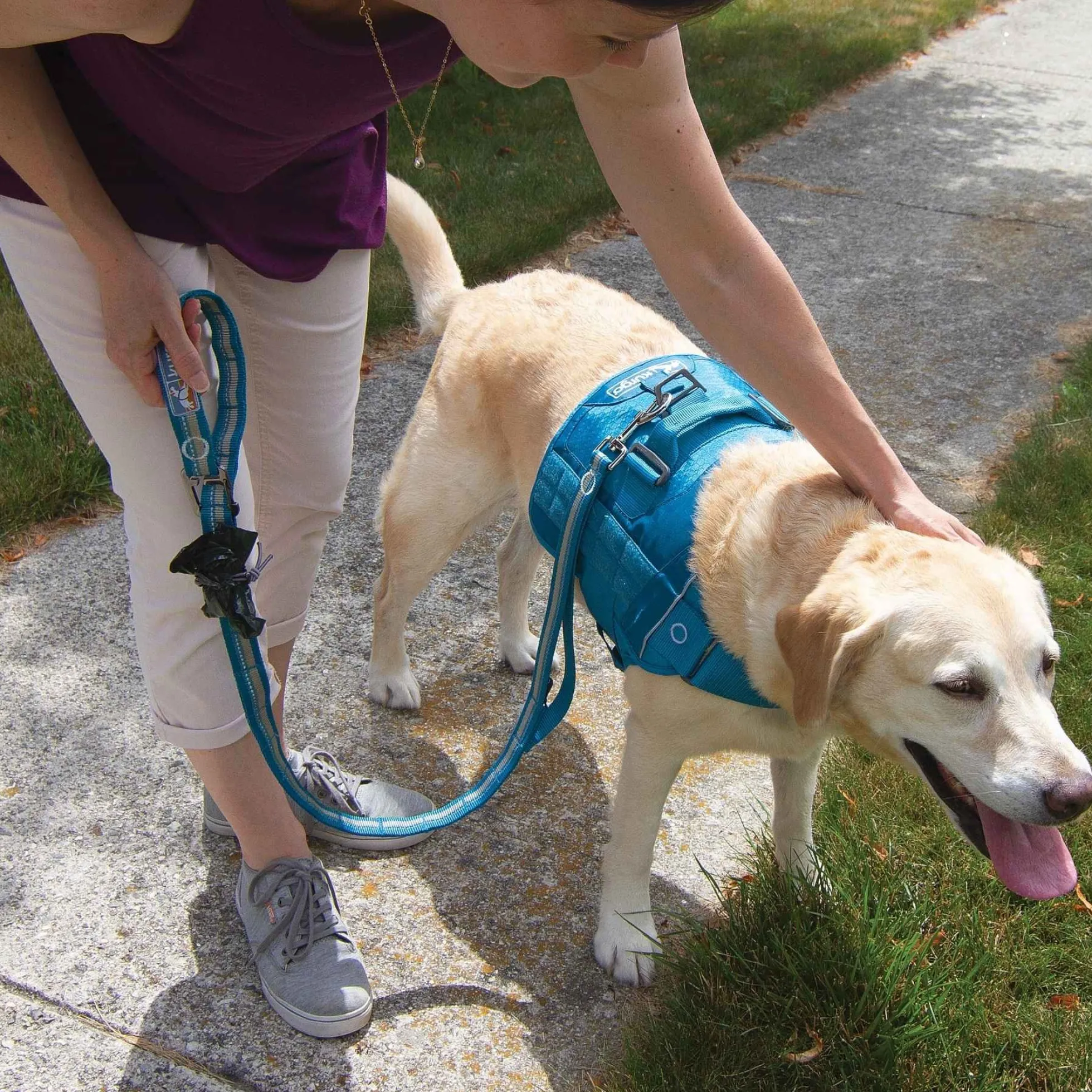 Kurgo Stub Leash - Hondenriem