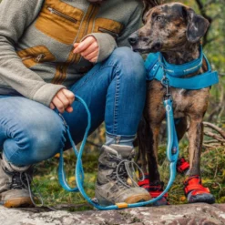 Kurgo Stub Leash - Hondenriem