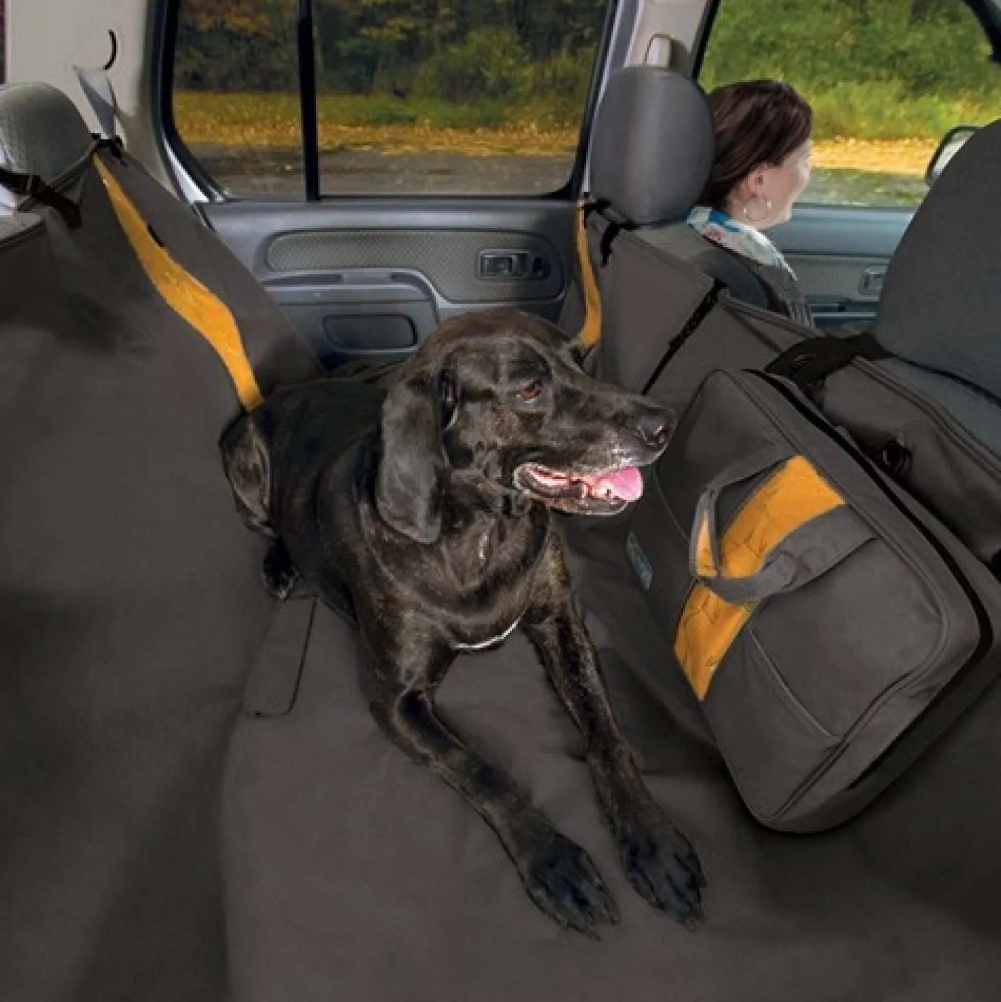 Kurgo Wander Hammock Autohoes