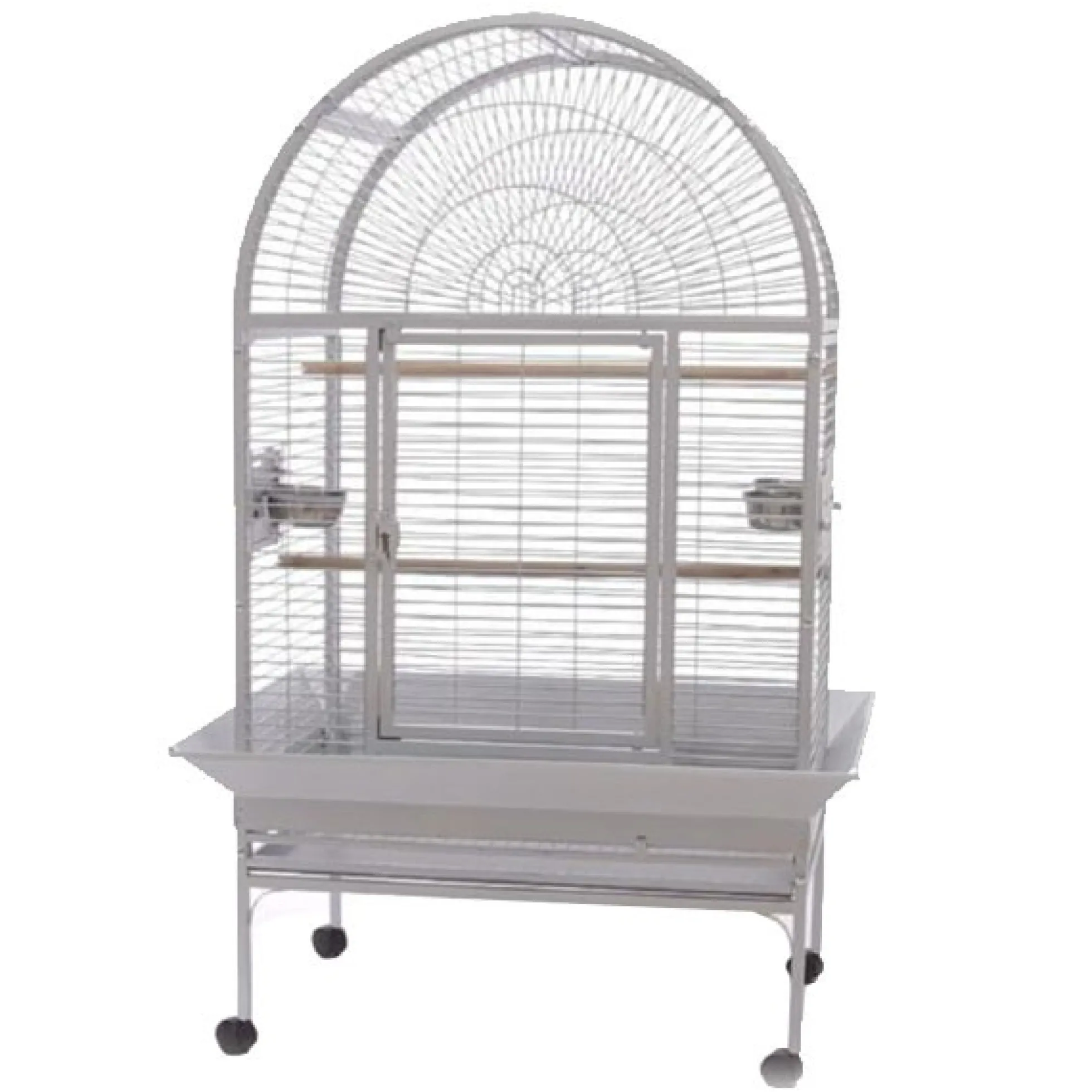 Papegaaienkooi Isa Silverwhite