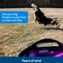 Petsafe automatische ballenwerper