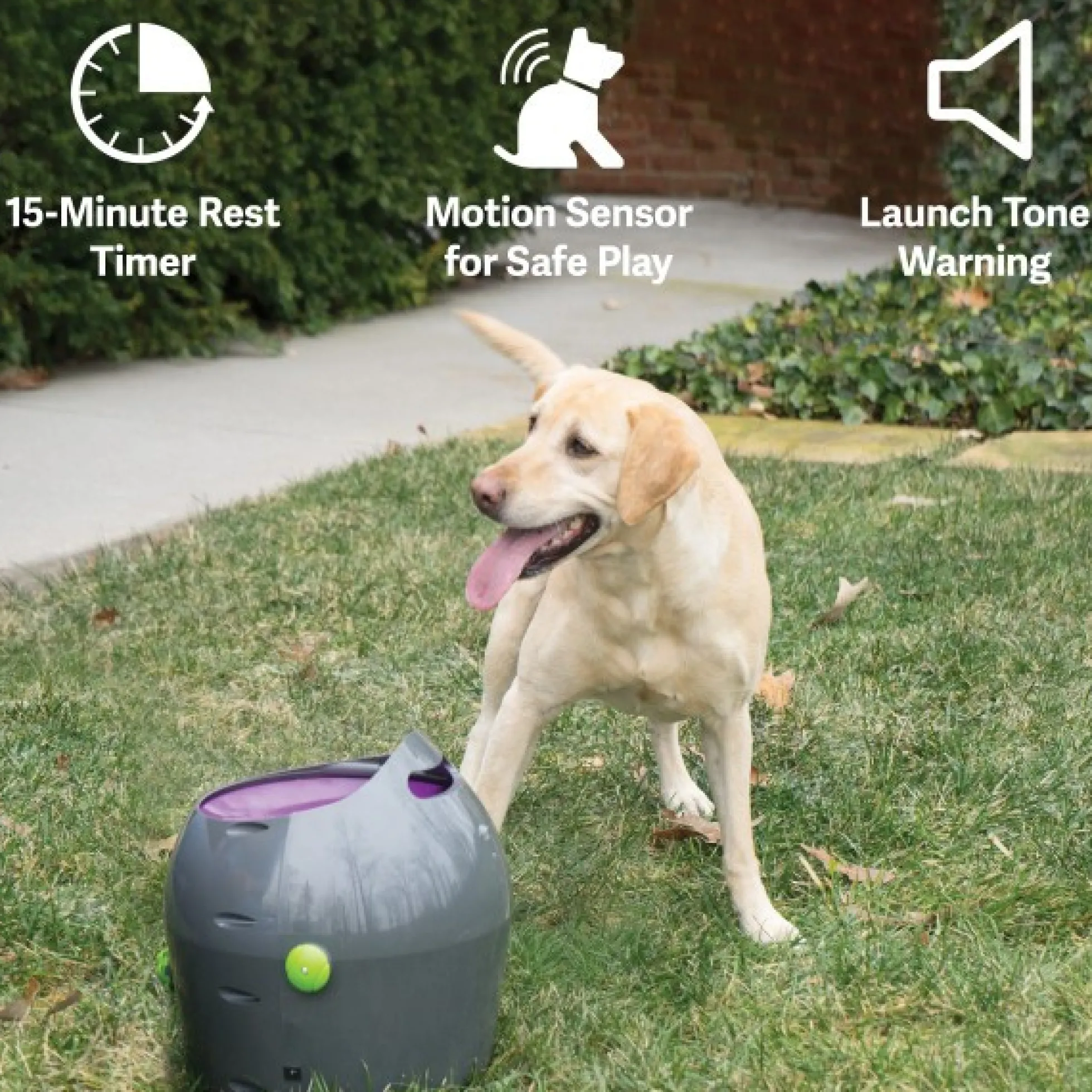 Petsafe automatische ballenwerper