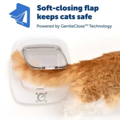 PetSafe Big Cat Kattenluik
