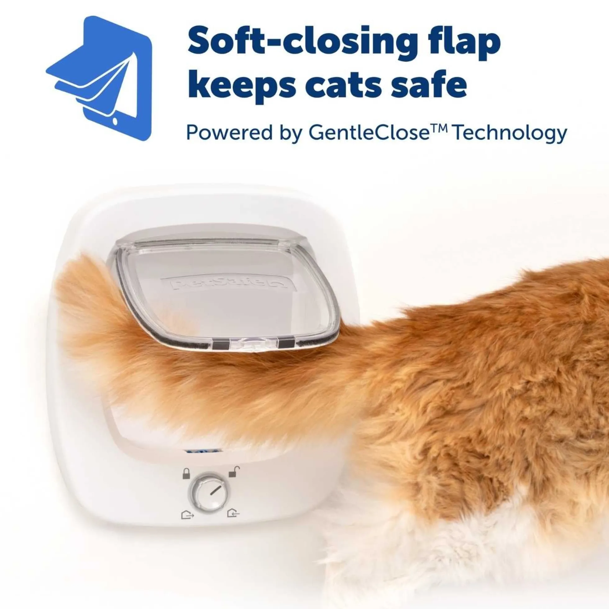 PetSafe Big Cat Kattenluik