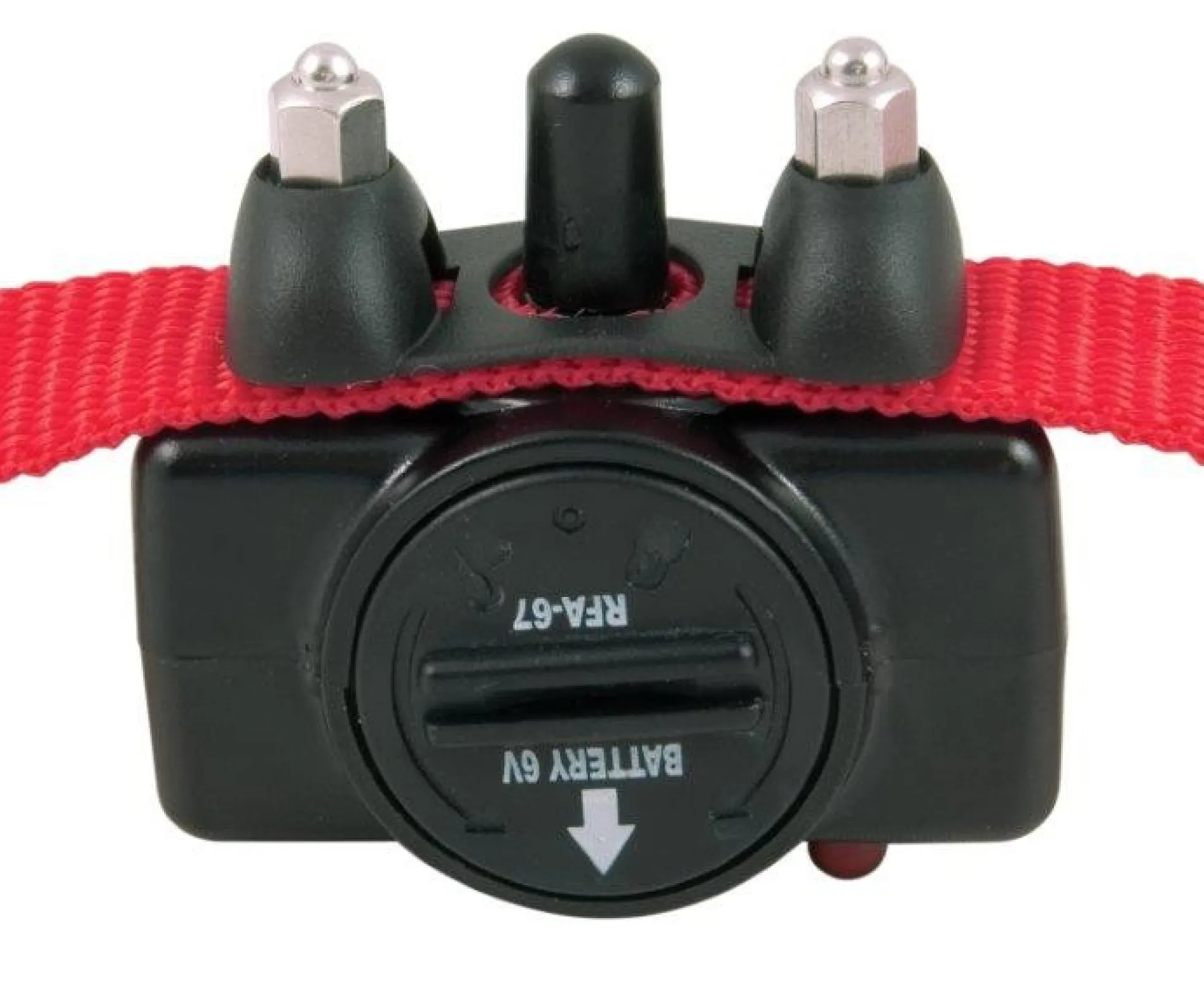 PetSafe Blafband Hond