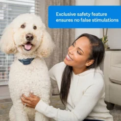 PetSafe Blafband Hond met Geluid