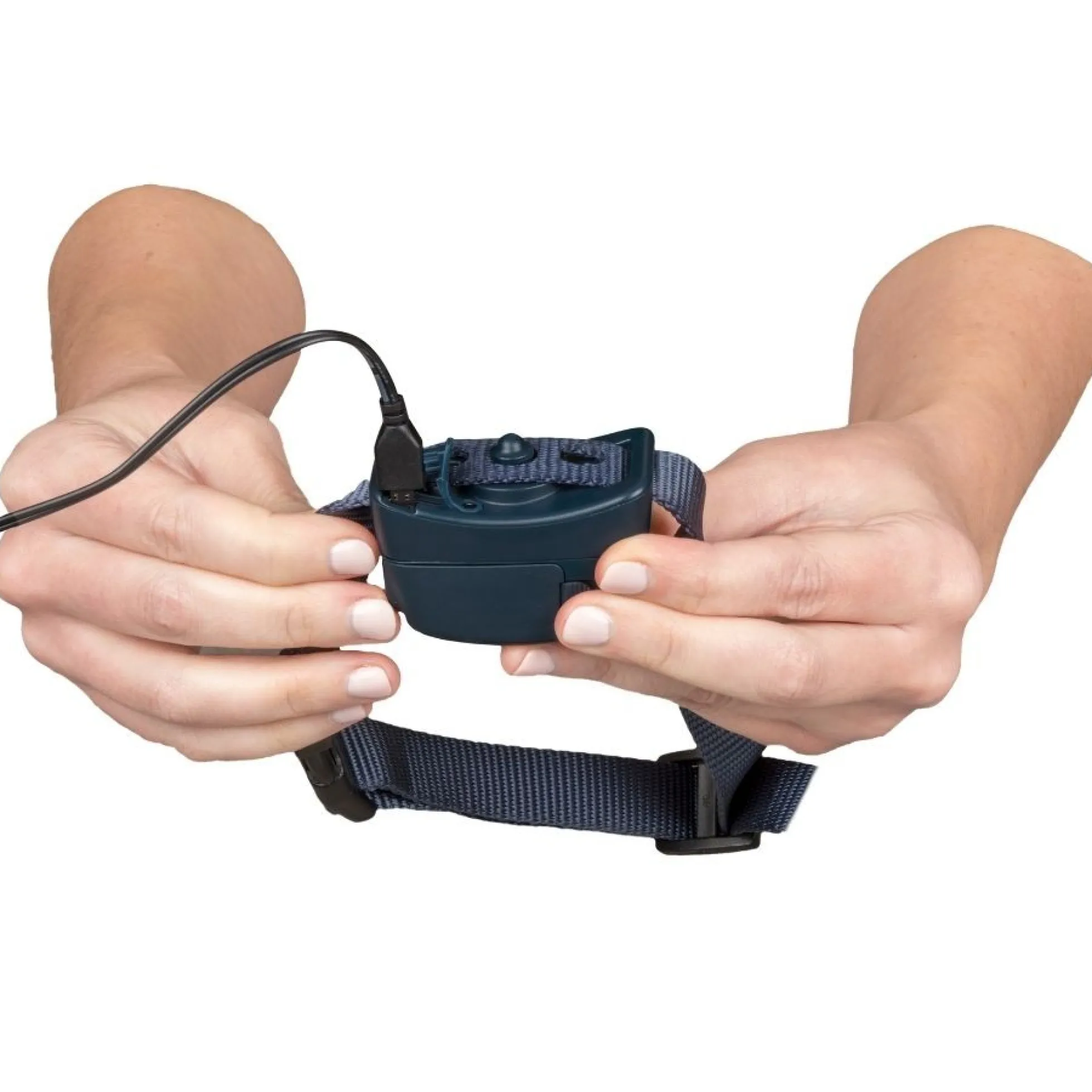 PetSafe Blafband met Spray