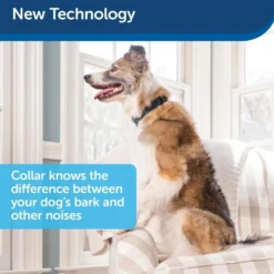 PetSafe Blafband met Spray